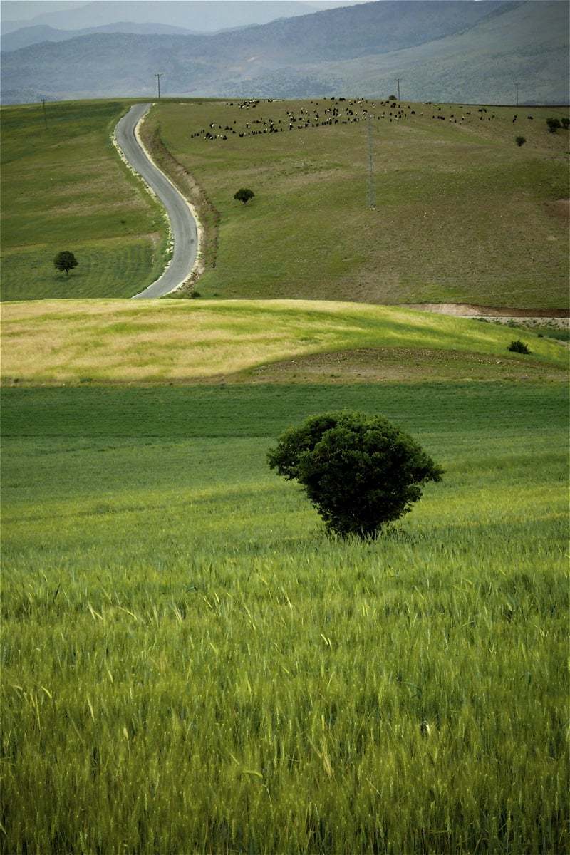 adıyaman resimleri - 17
