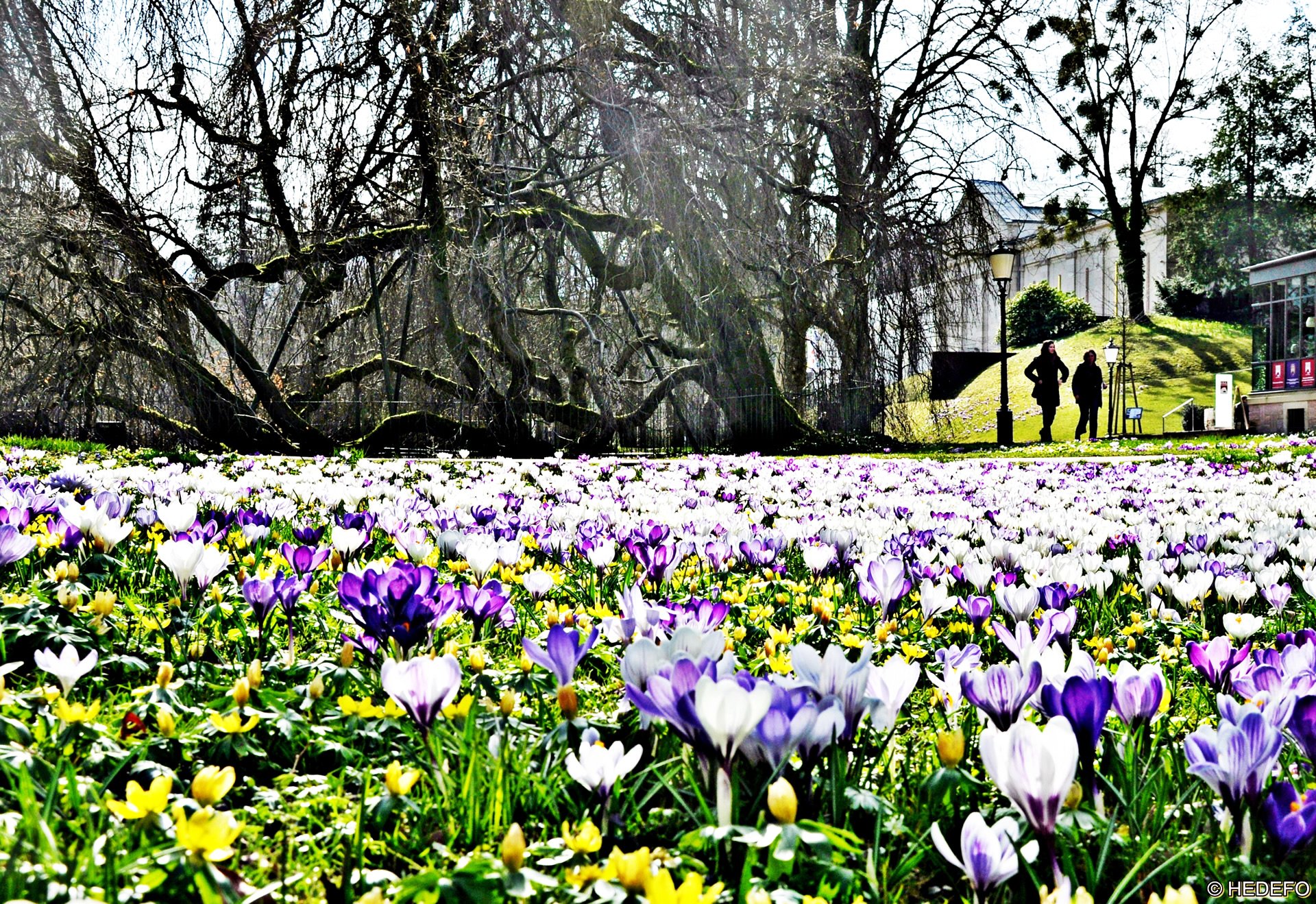 almanya resimleri - 25