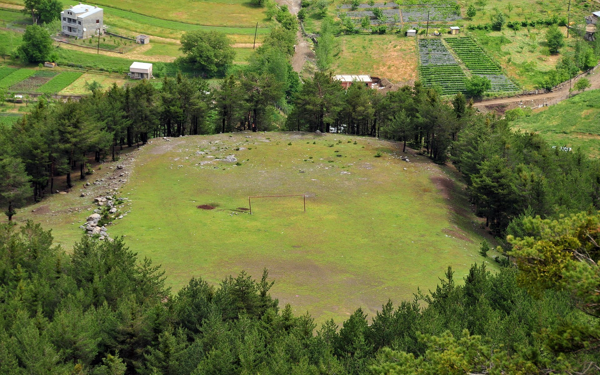 altınpınar ağaçlar