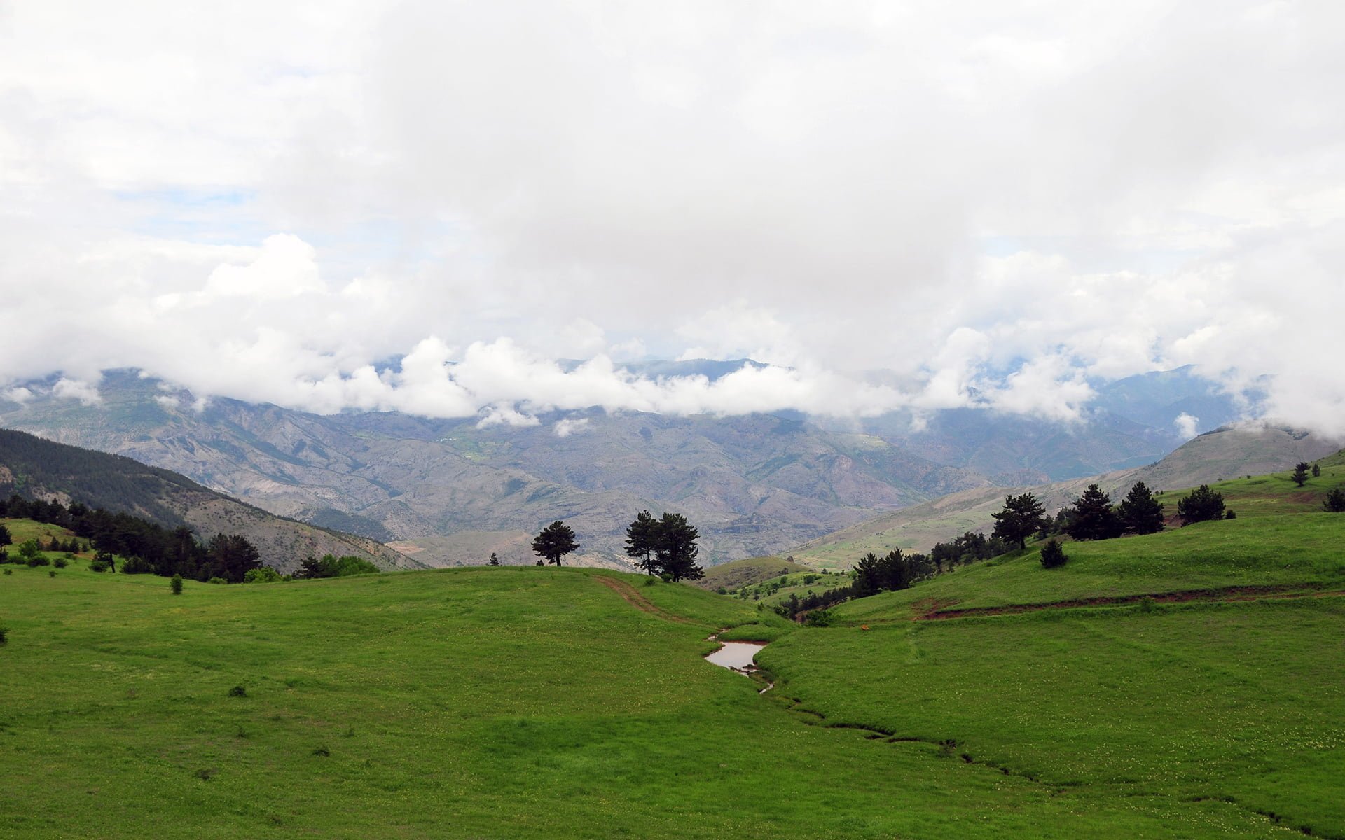 altınpınar bulutlar