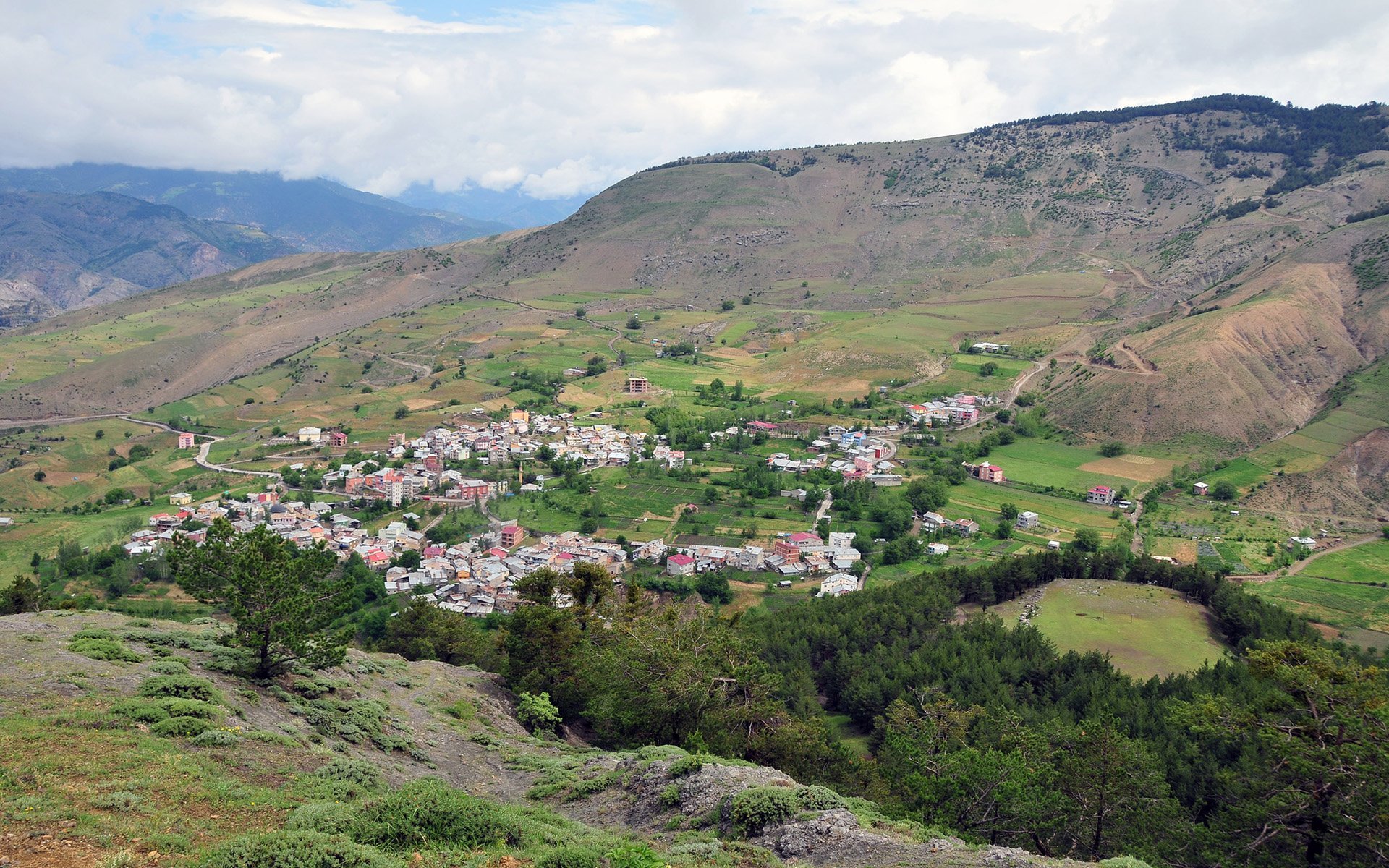 altınpınar - gümüşhane