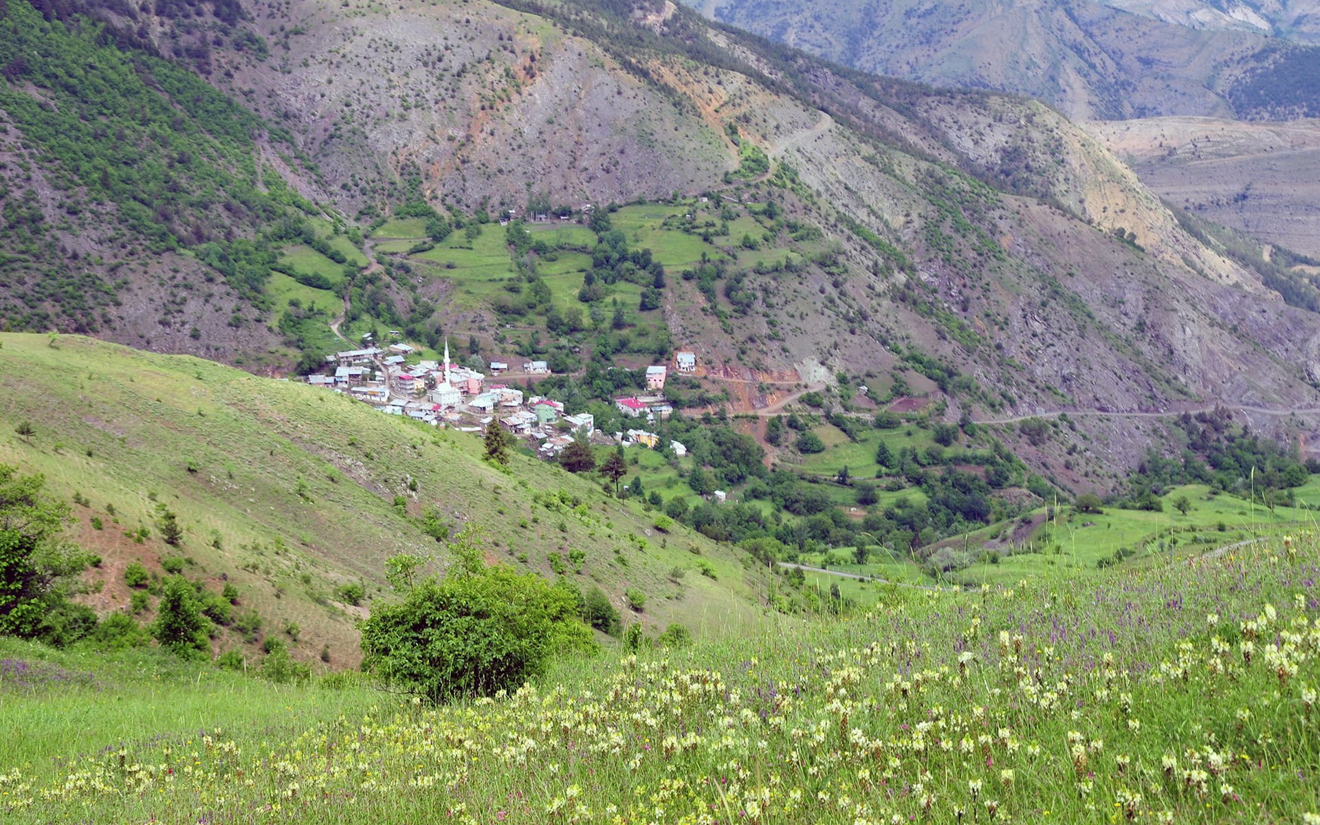 altınpınar kuş bakışı