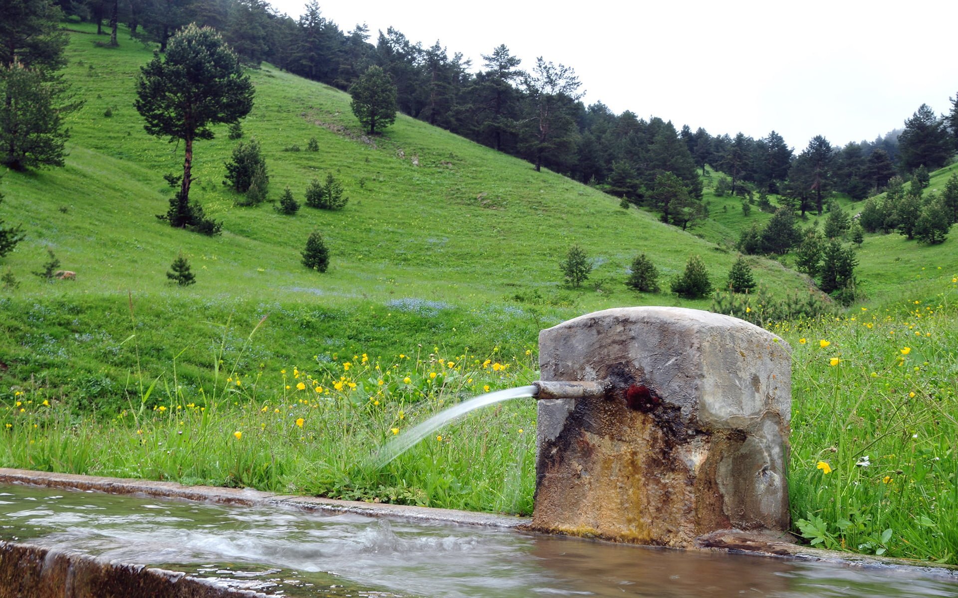 altınpınar çeşme