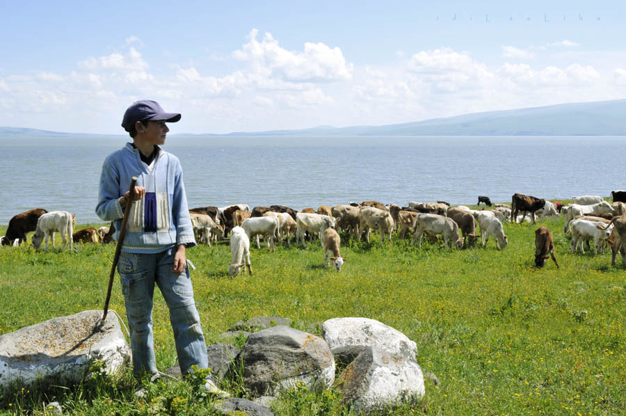 ardahan manzaraları - 2