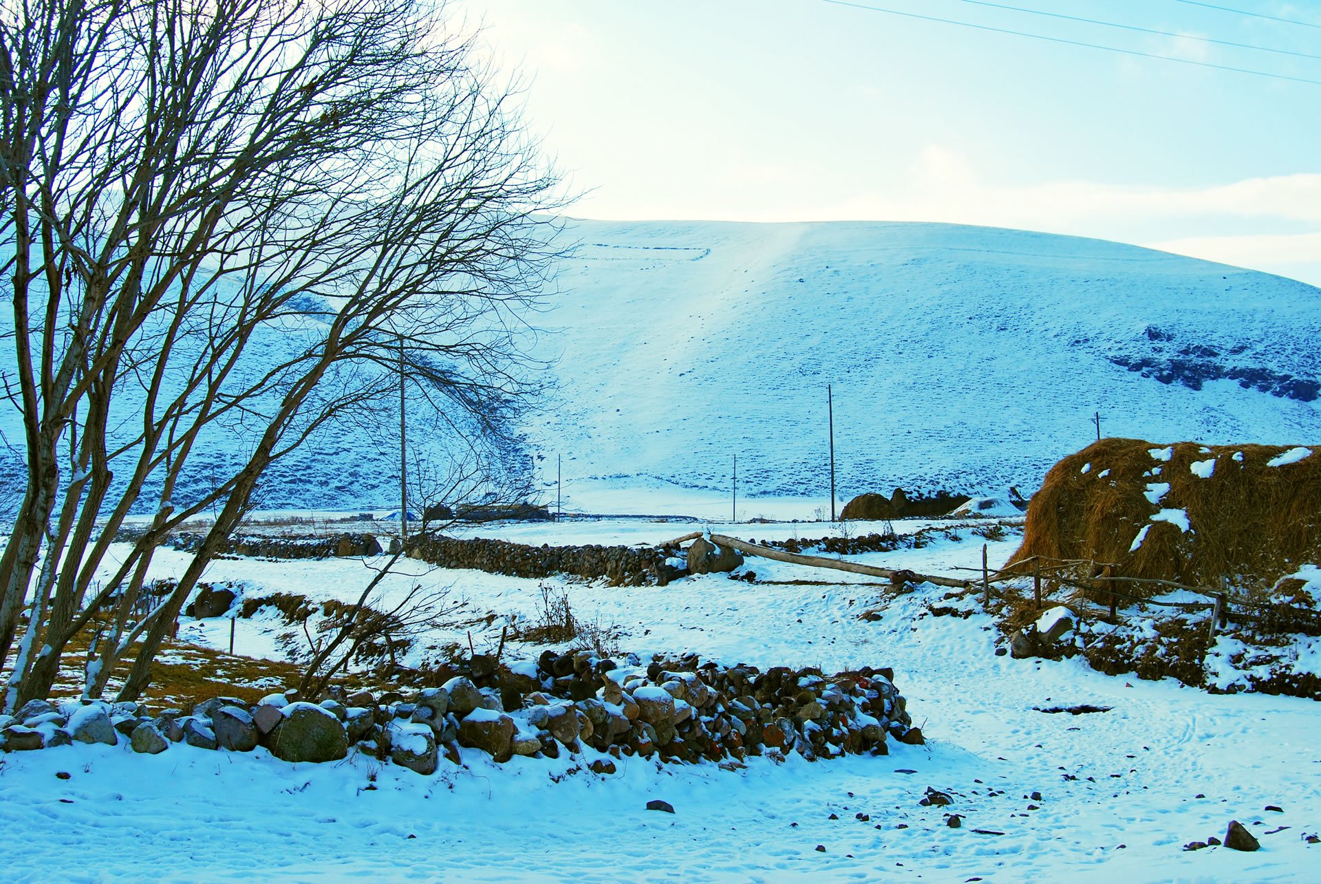 ardahan resimleri - 22