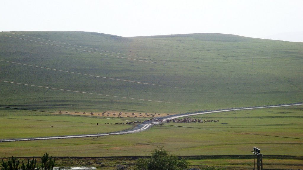 ardahan resimleri - 6