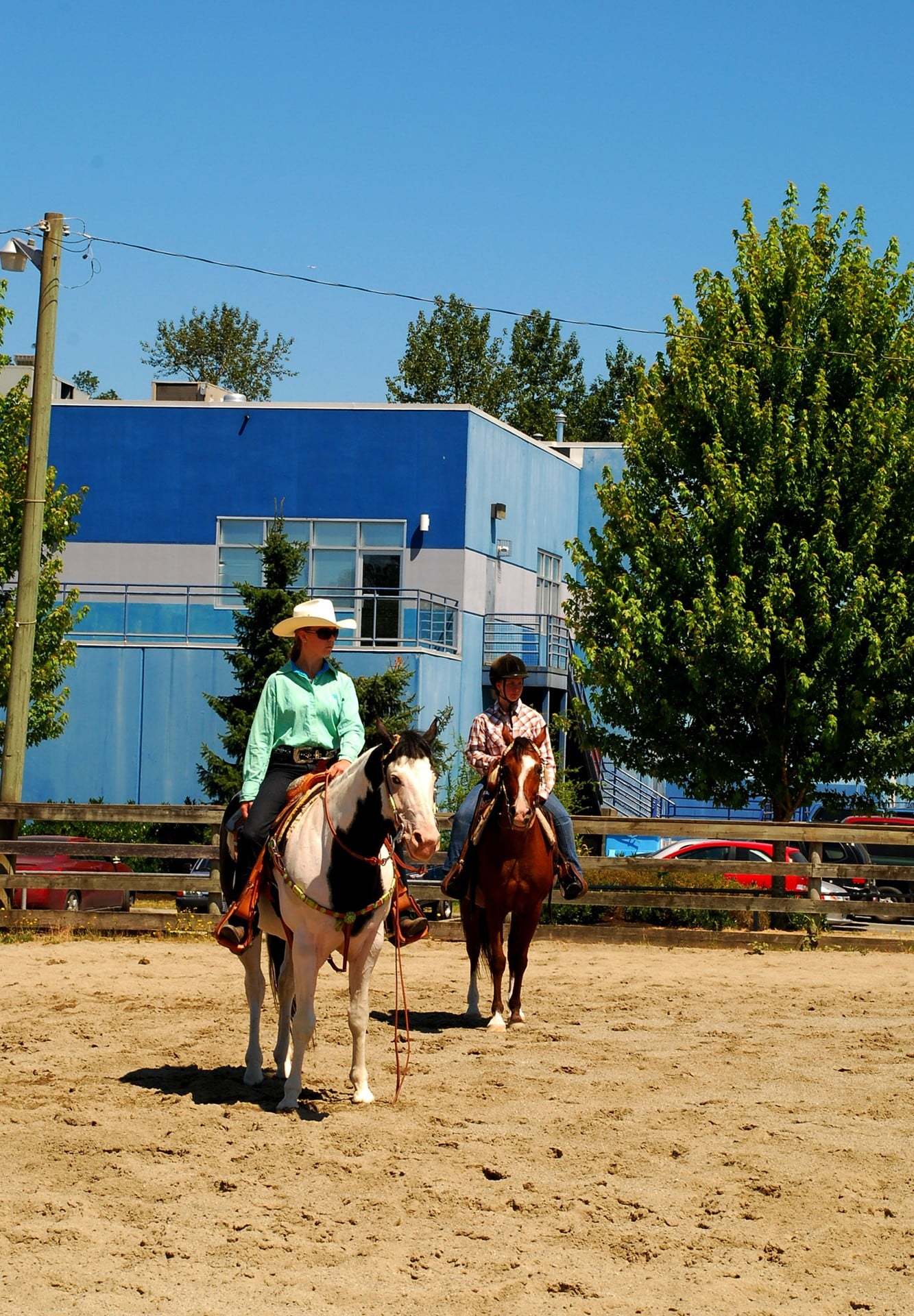 at çiftliği resimleri