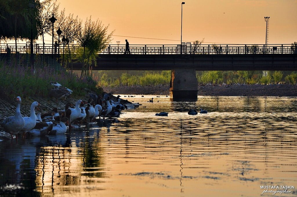 avanos duvar kağıtları