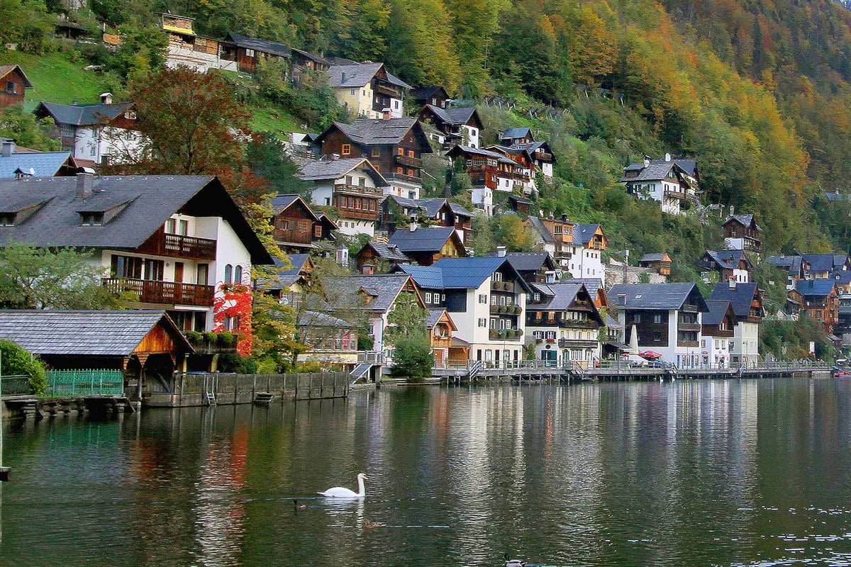 avusturya - hallstatt ördek