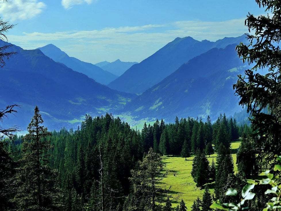 avusturya resimleri - 13