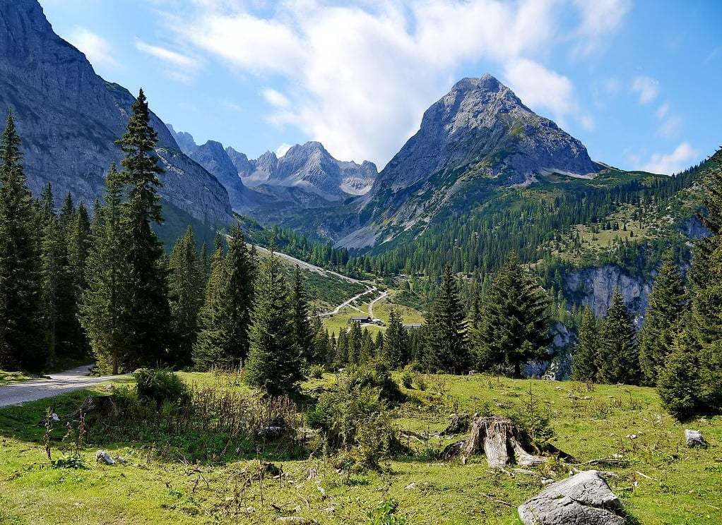 avusturya resimleri - 15