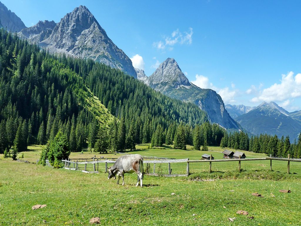 avusturya resimleri - 16