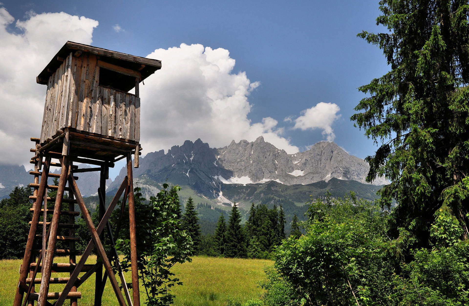 avusturya resimleri - 28