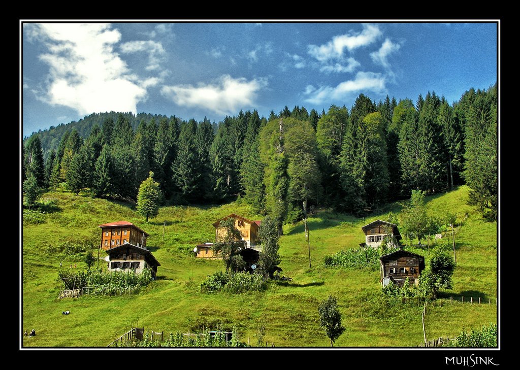 ayder yaylası bahar