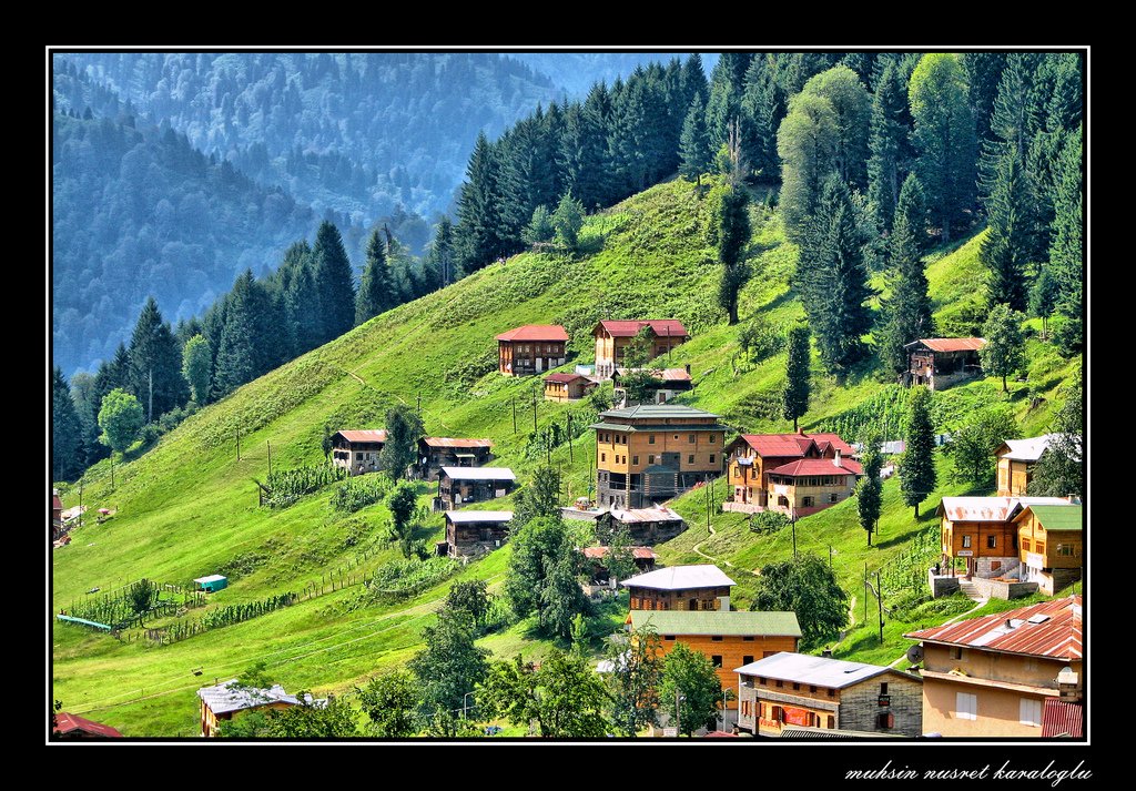 ayder yaylası doğa