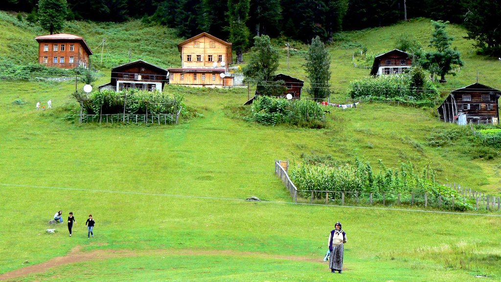 ayder yaylası duvar kağıtları