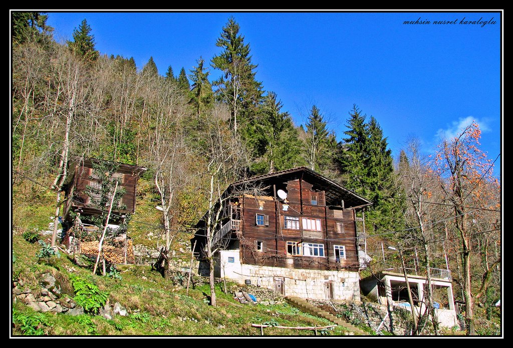 ayder yaylası ev