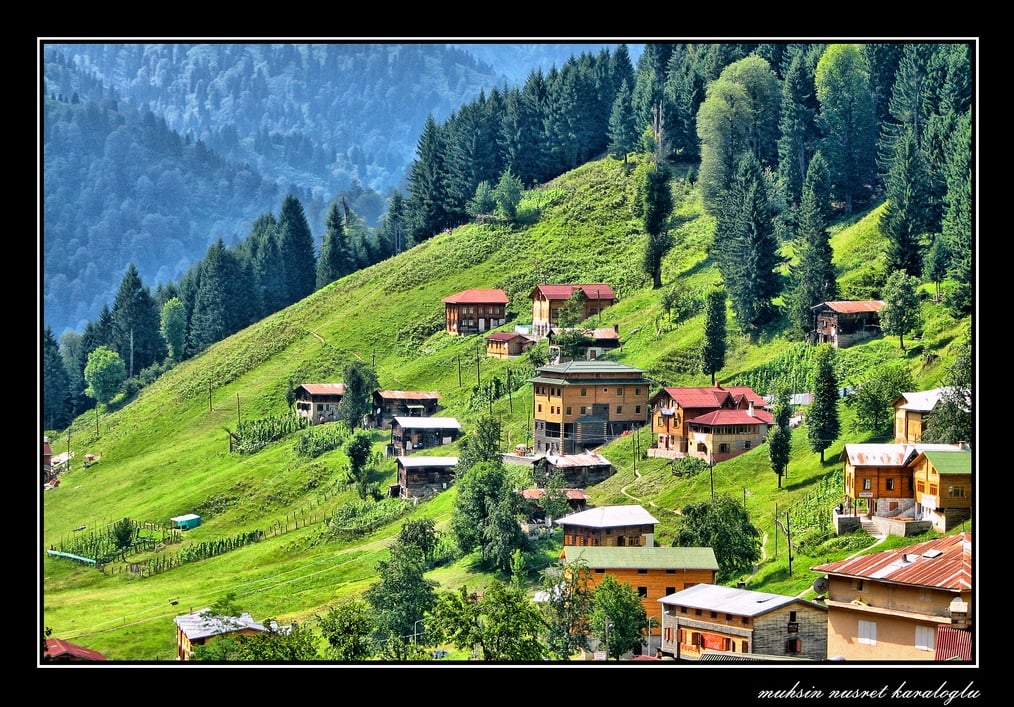 ayder yaylası resimleri