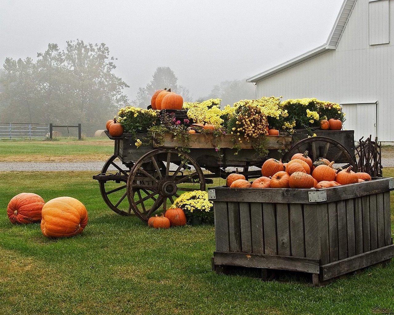 bal-kabagi_2-1277022863