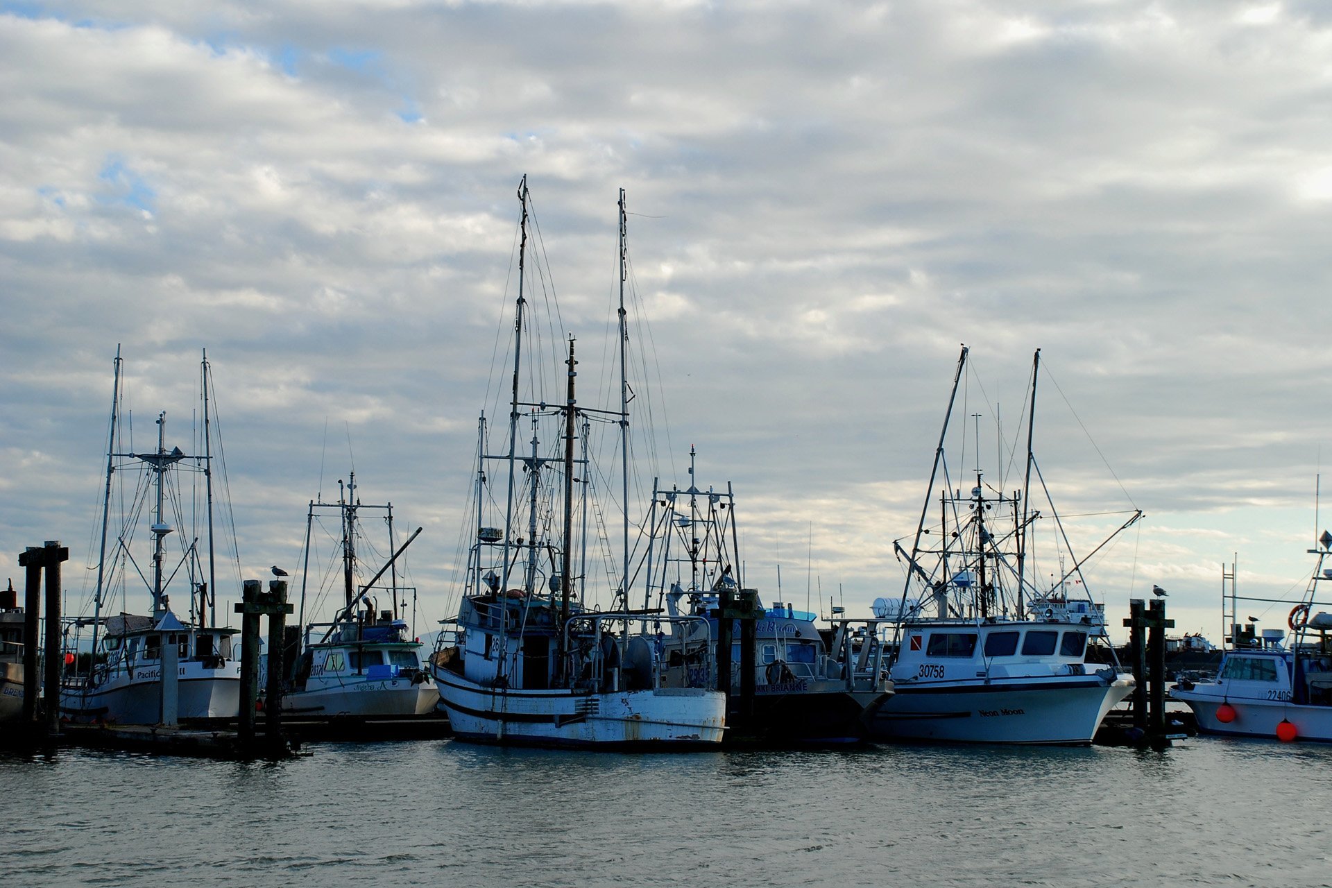 balıkçı tekneleri