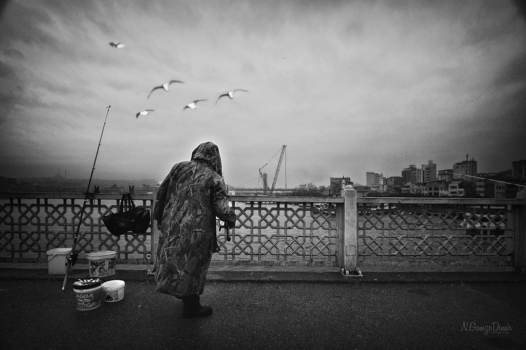 balıkçı ve martılar