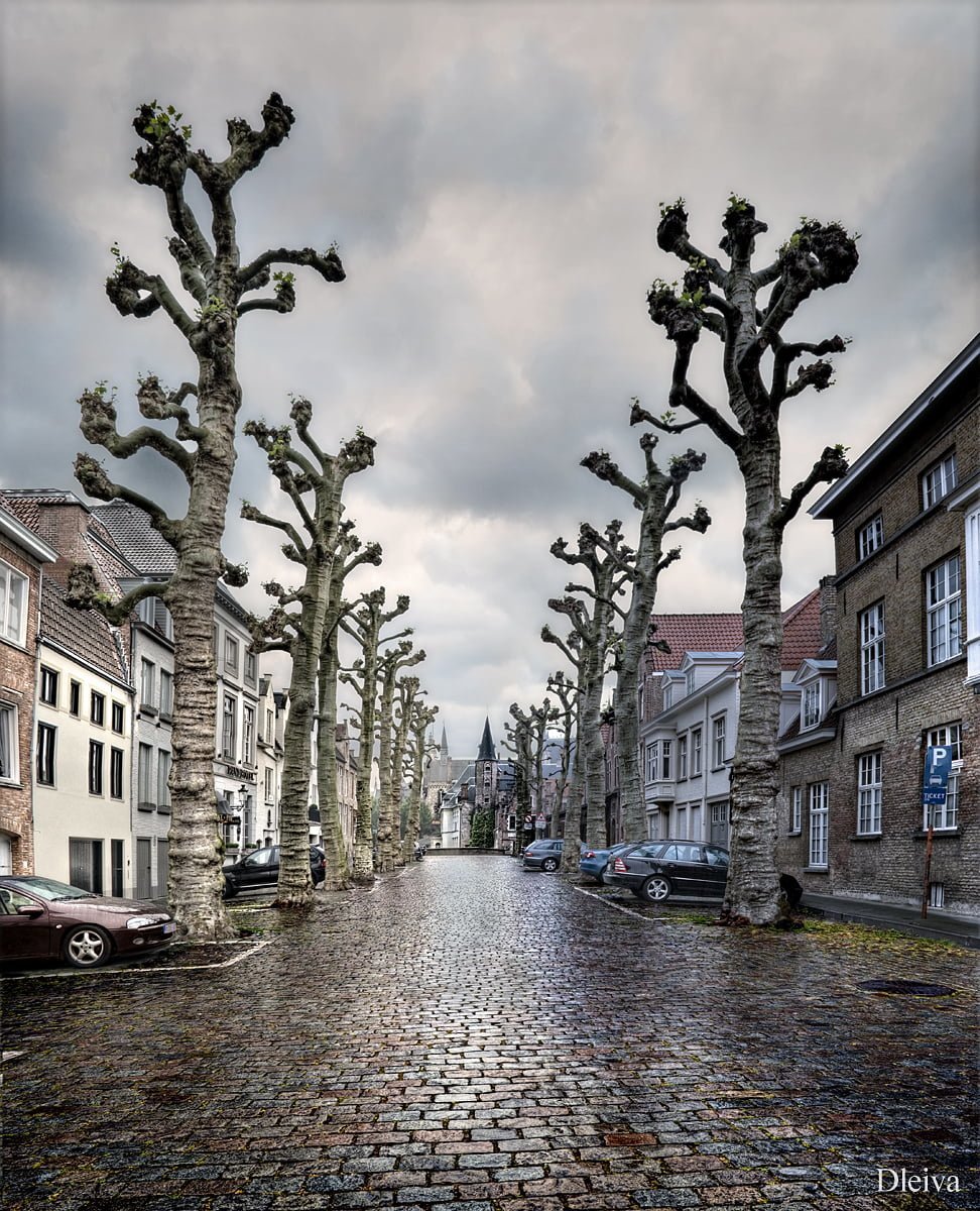 belçika resimleri - 4