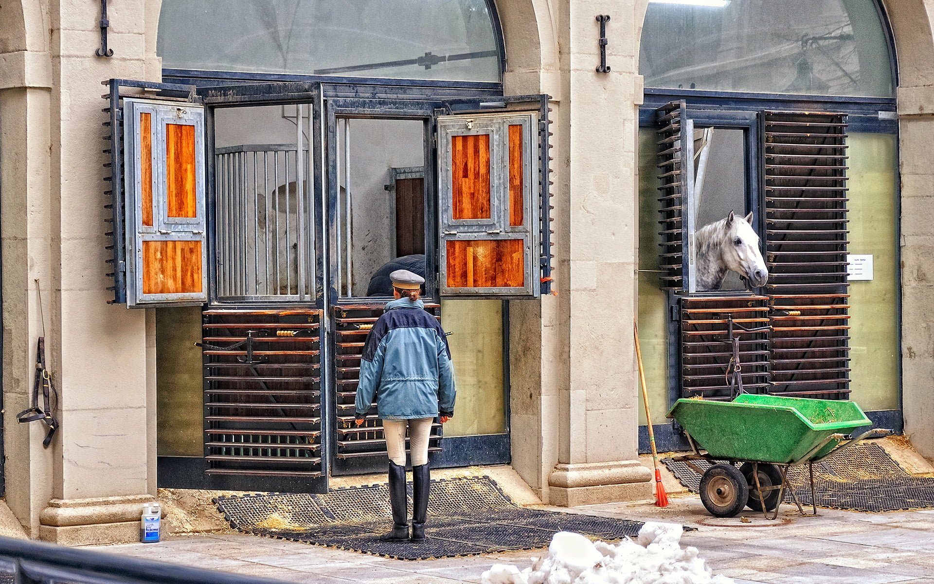 binicilik okulu viyana