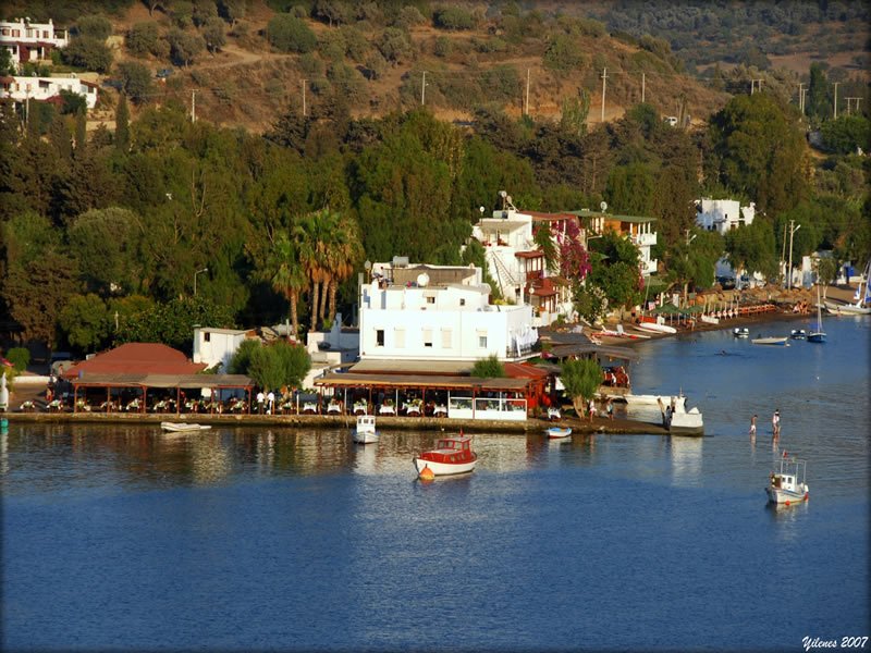 bodrum arka planları