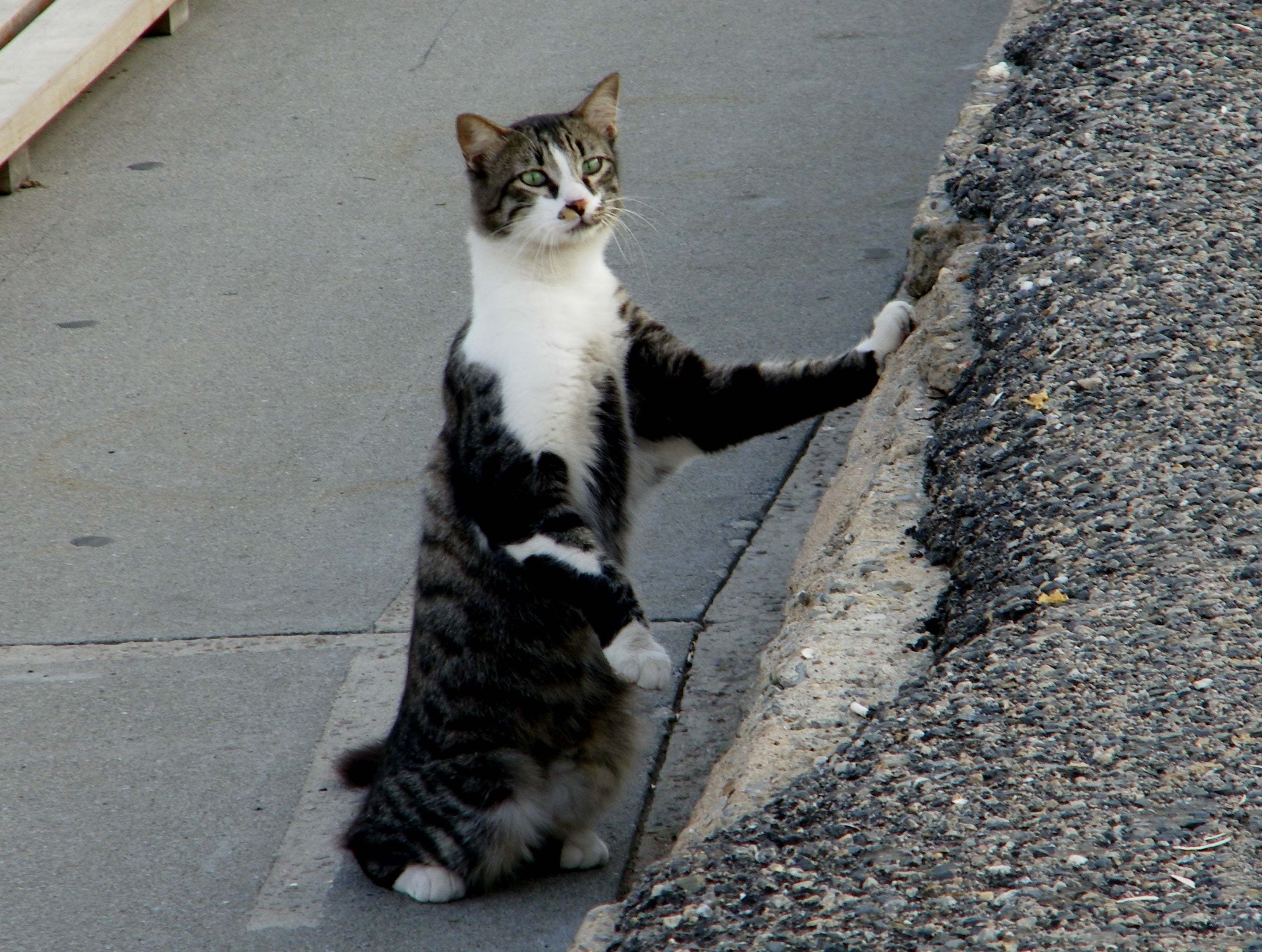 bogazici_2012-131-1354475572