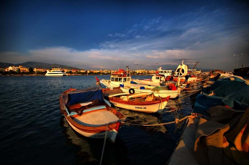 bostanlı arka planları