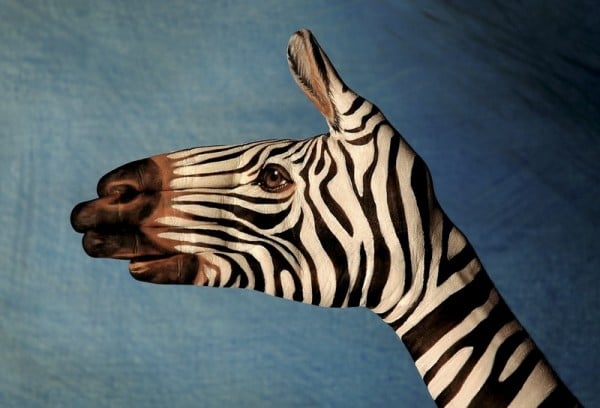 Boyanmış Eller / Zebra