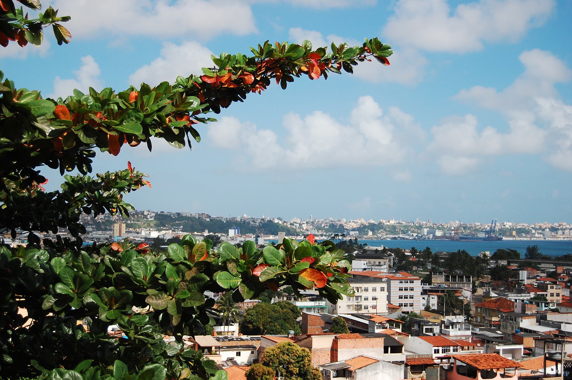 brezilya görüntüleri