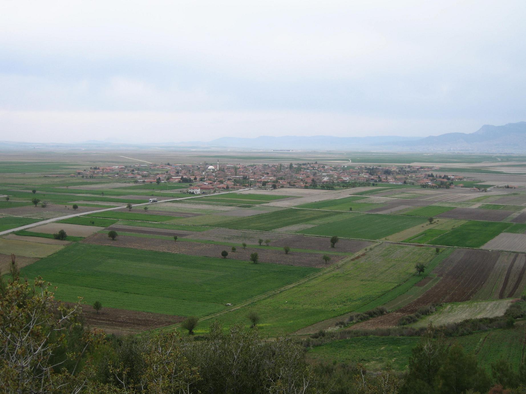 calti-koyu-1285571739