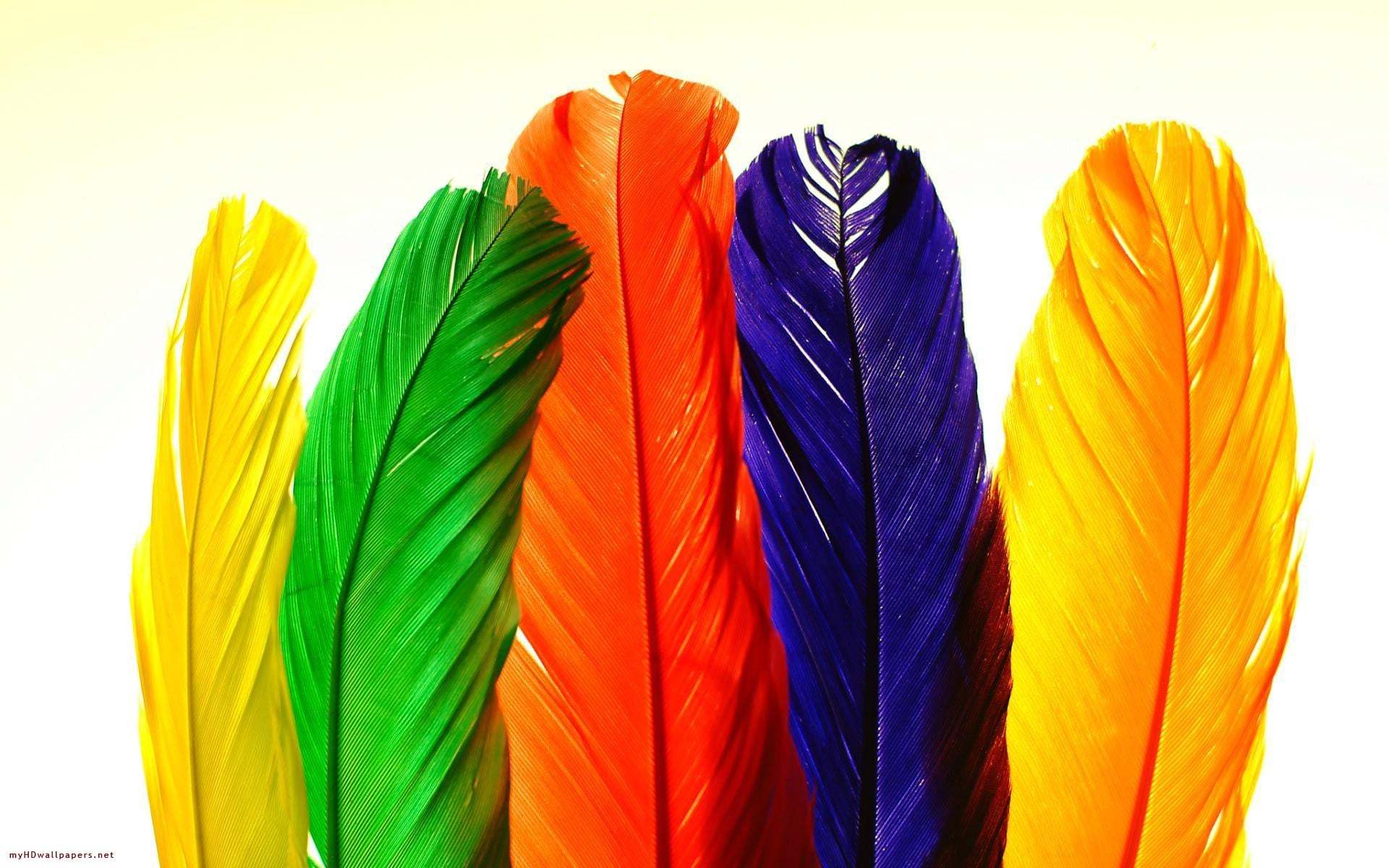 cesitli-duvarkagitlari-203-1304106607