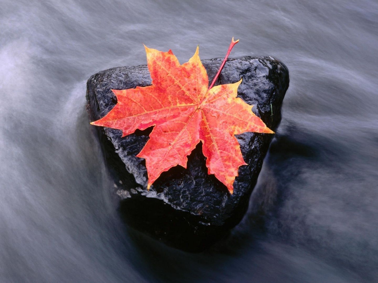 cesitli-manzaralar-120-1300653389