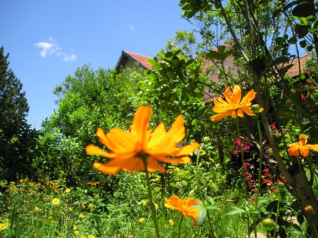 cicek-manzaralari-9-1285745485