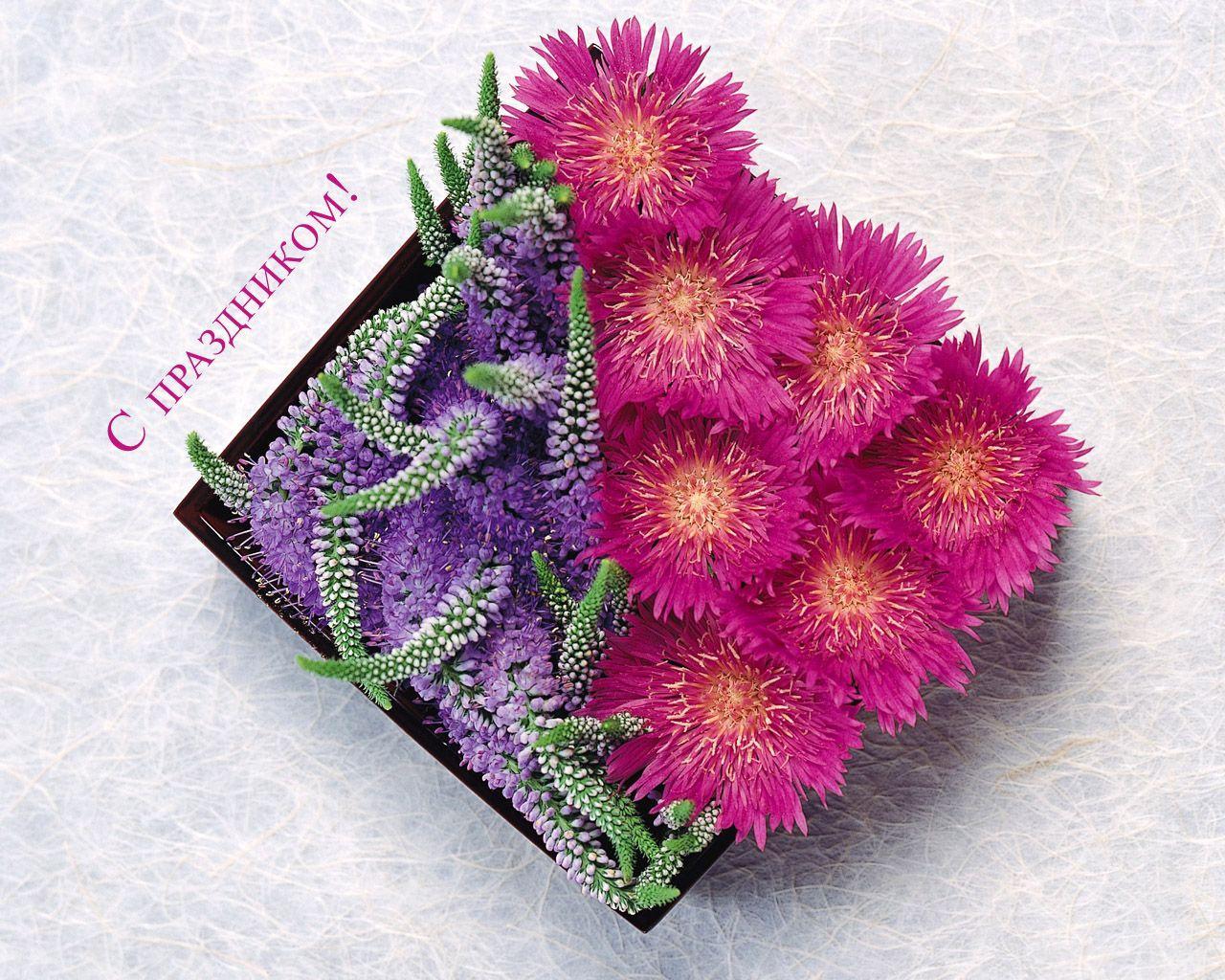 cicek-tanzimleri-1-1297719800