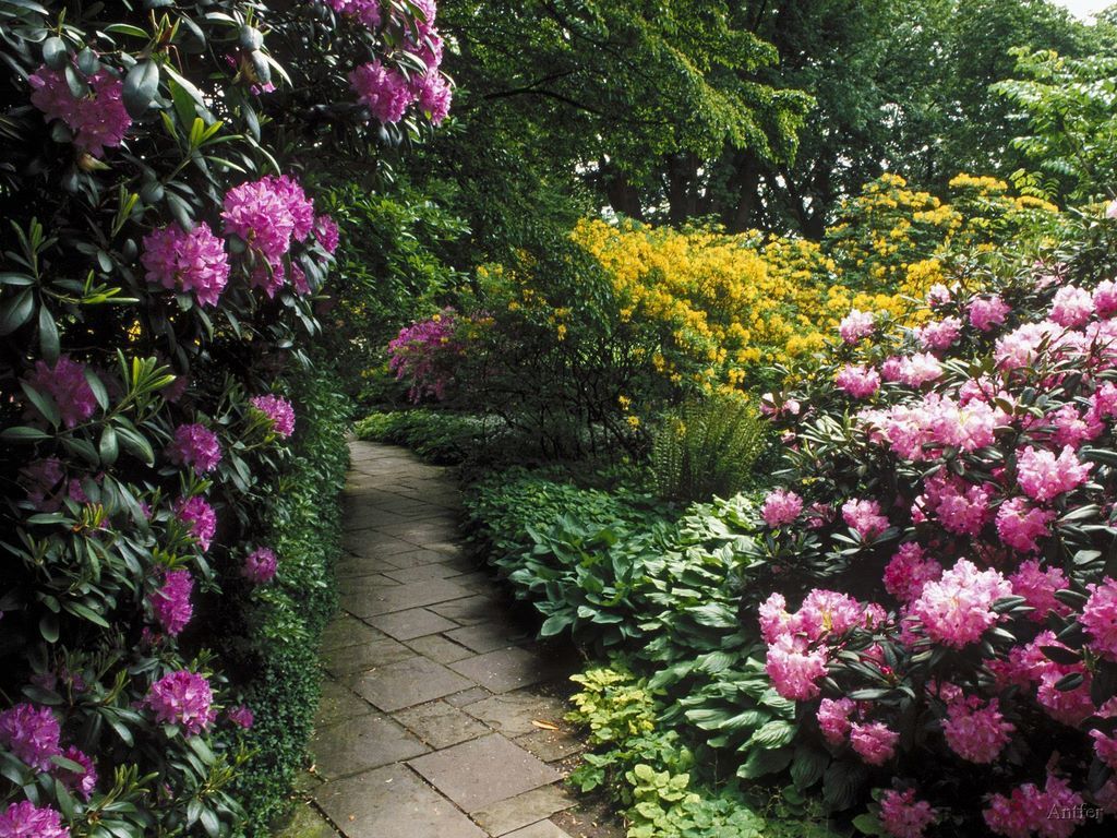 cicekli-manzaralar-12-1300478106