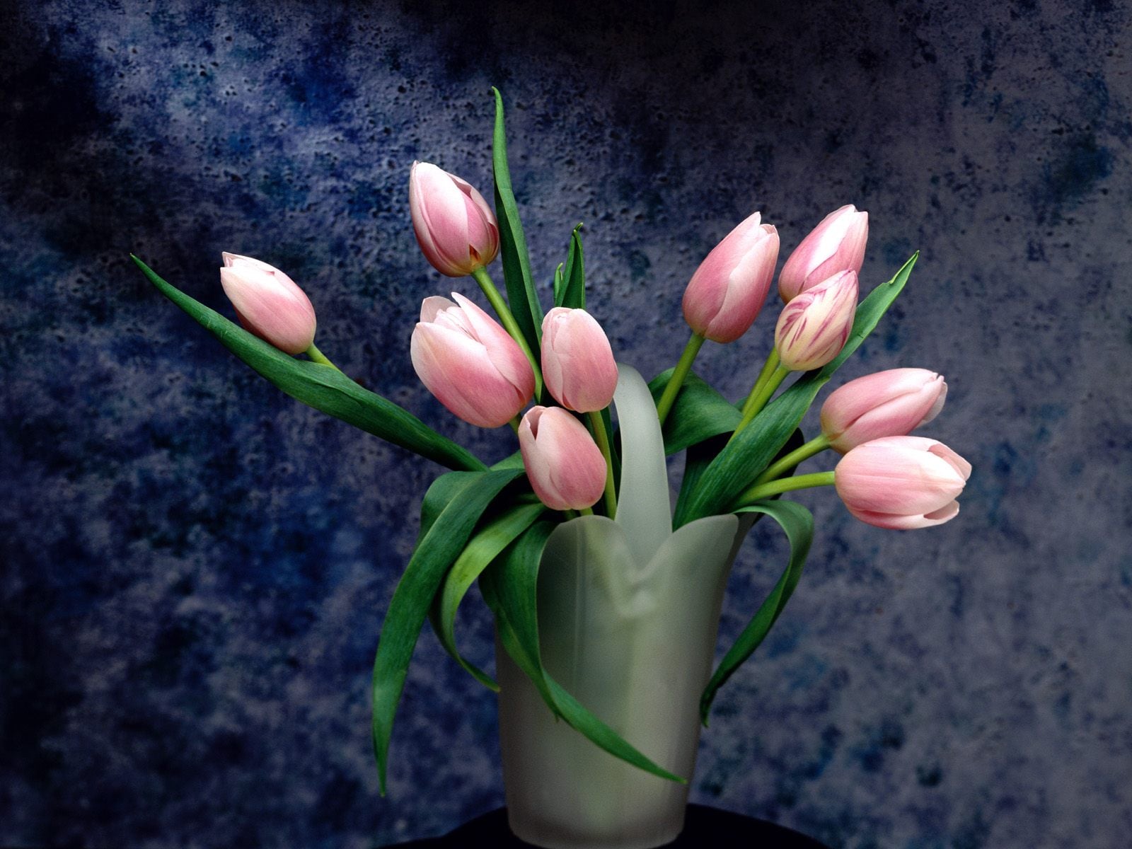 dekoratif-cicekler-15-Tulips_Bouquet