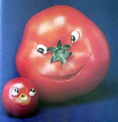 domates dünyası