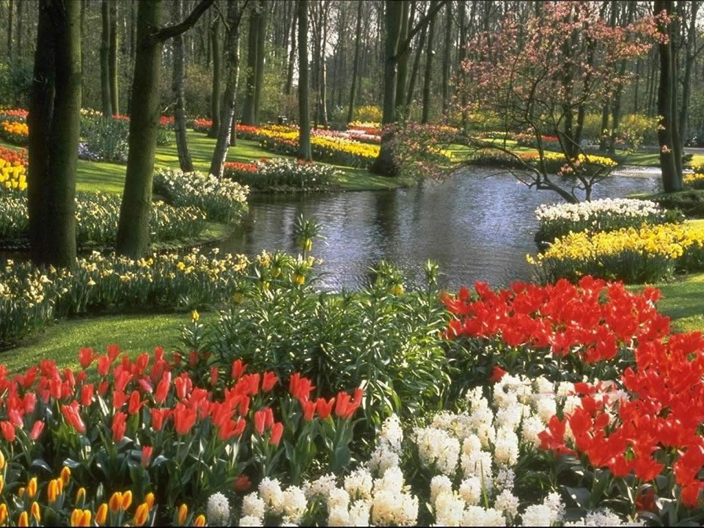 doğanın güzelliği