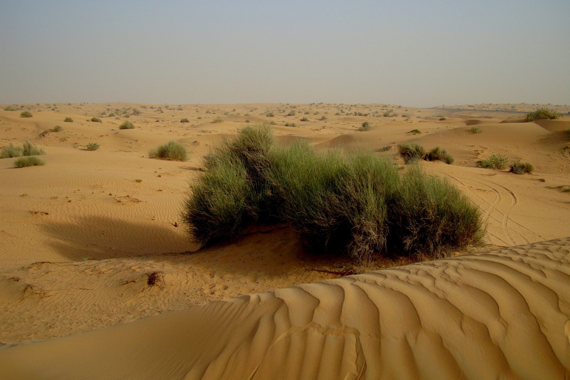 dubai çölleri