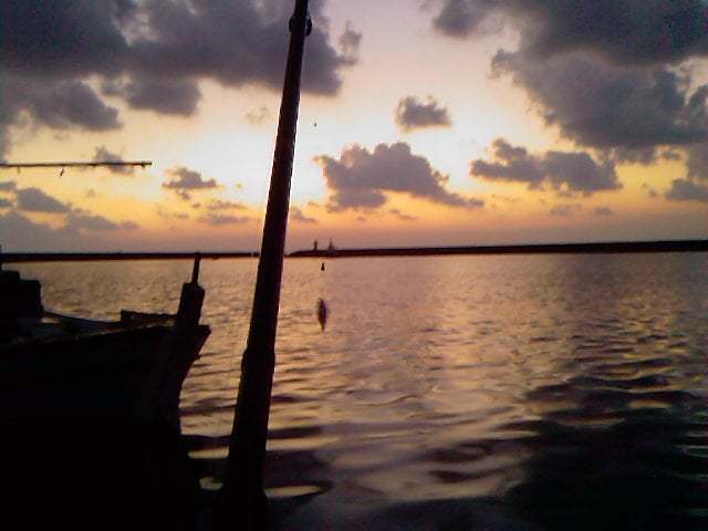 fotoğraf-0059-1298147103