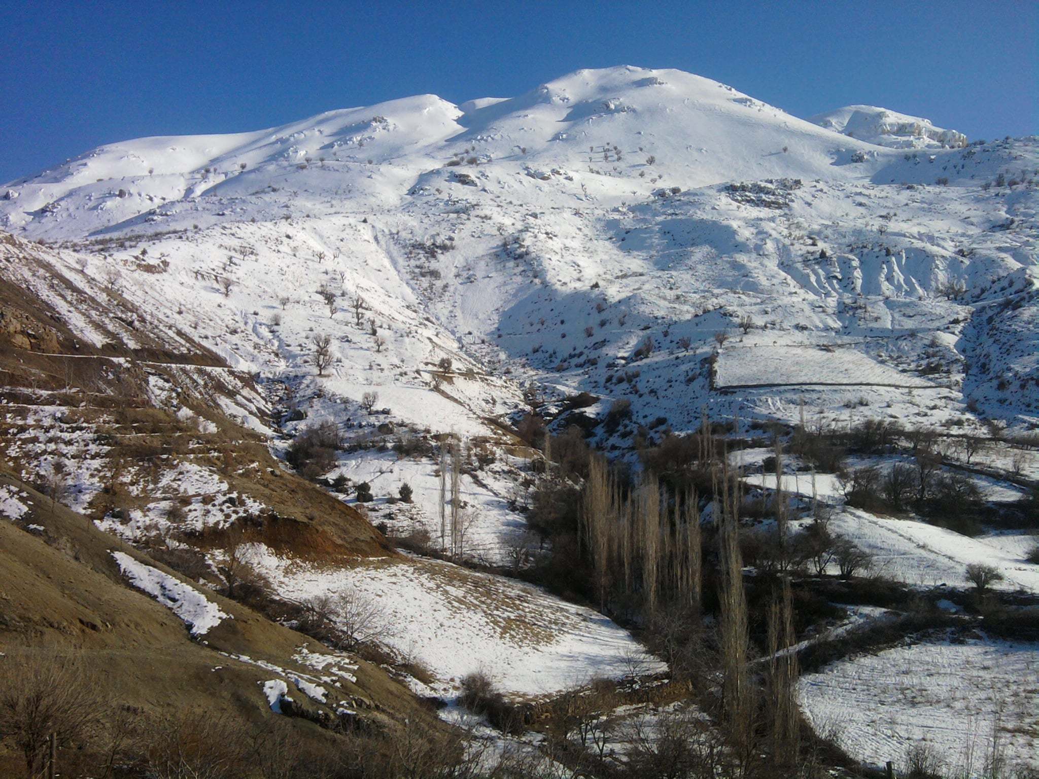 fotoğraf433-1329667920