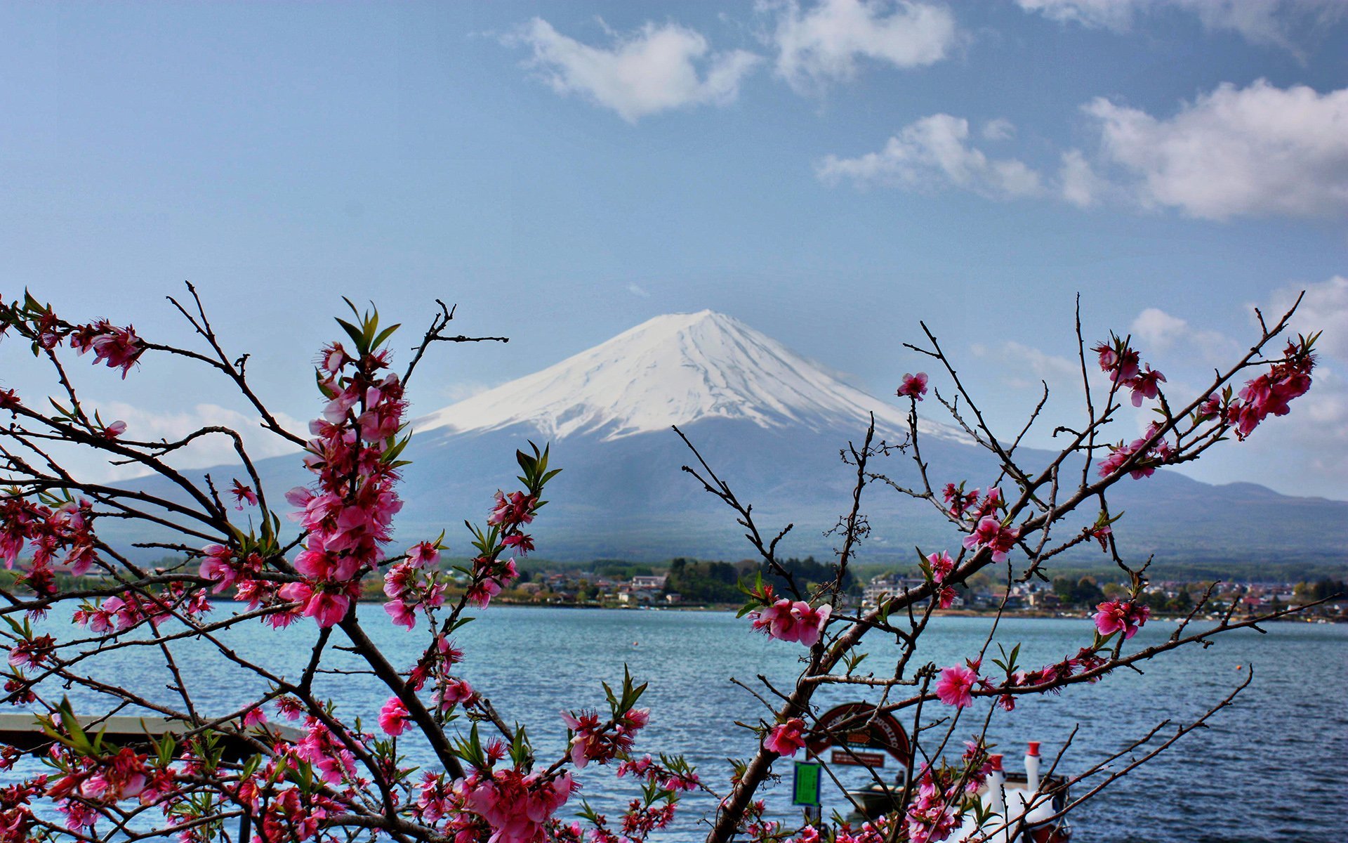 fuji dağı manzarası