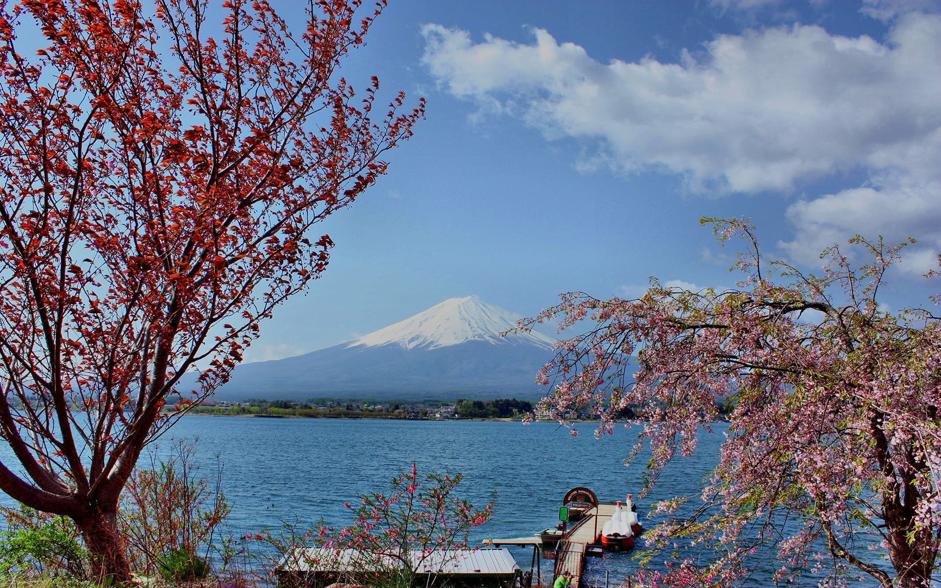fuji dağı resmi