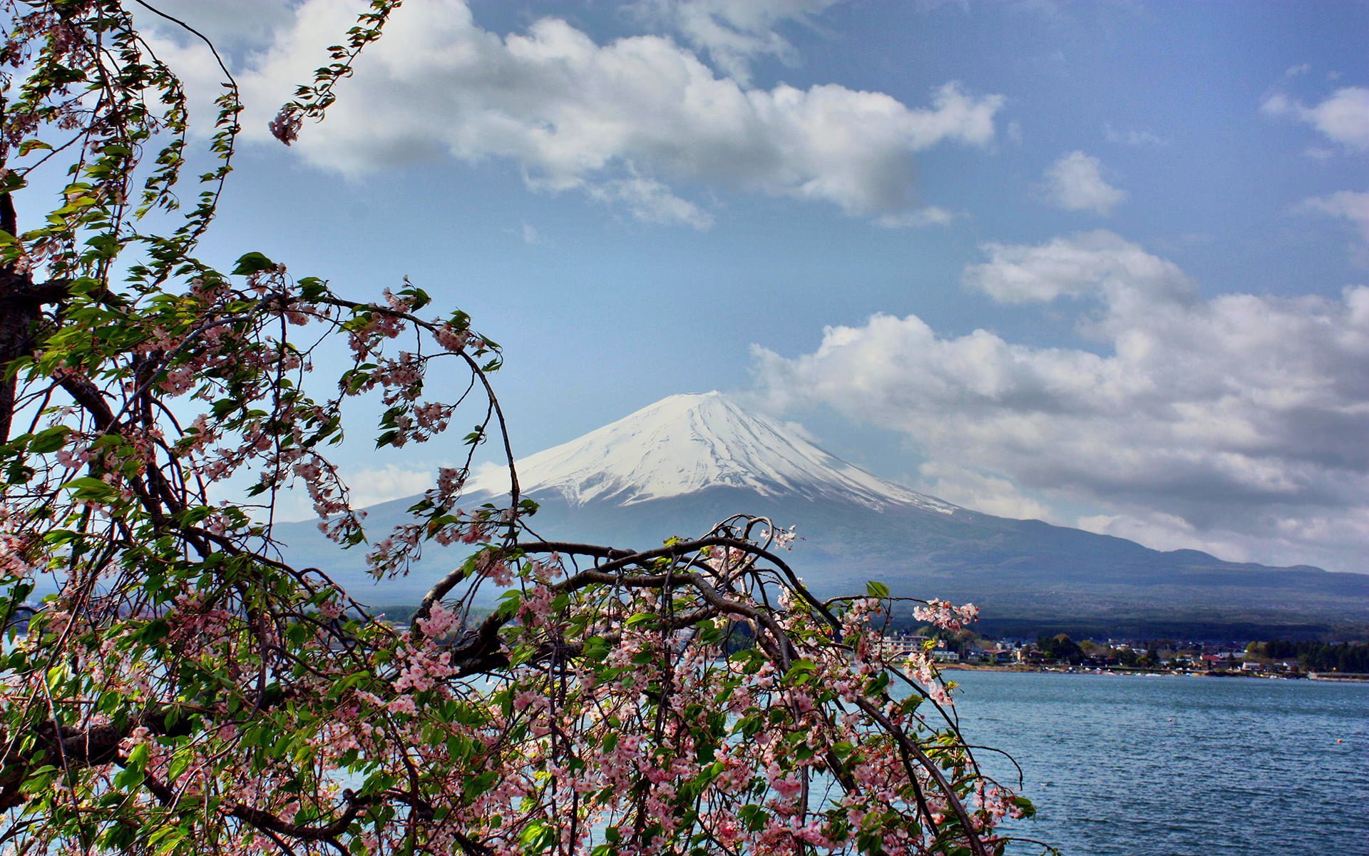 fujiyama dağı manzarası