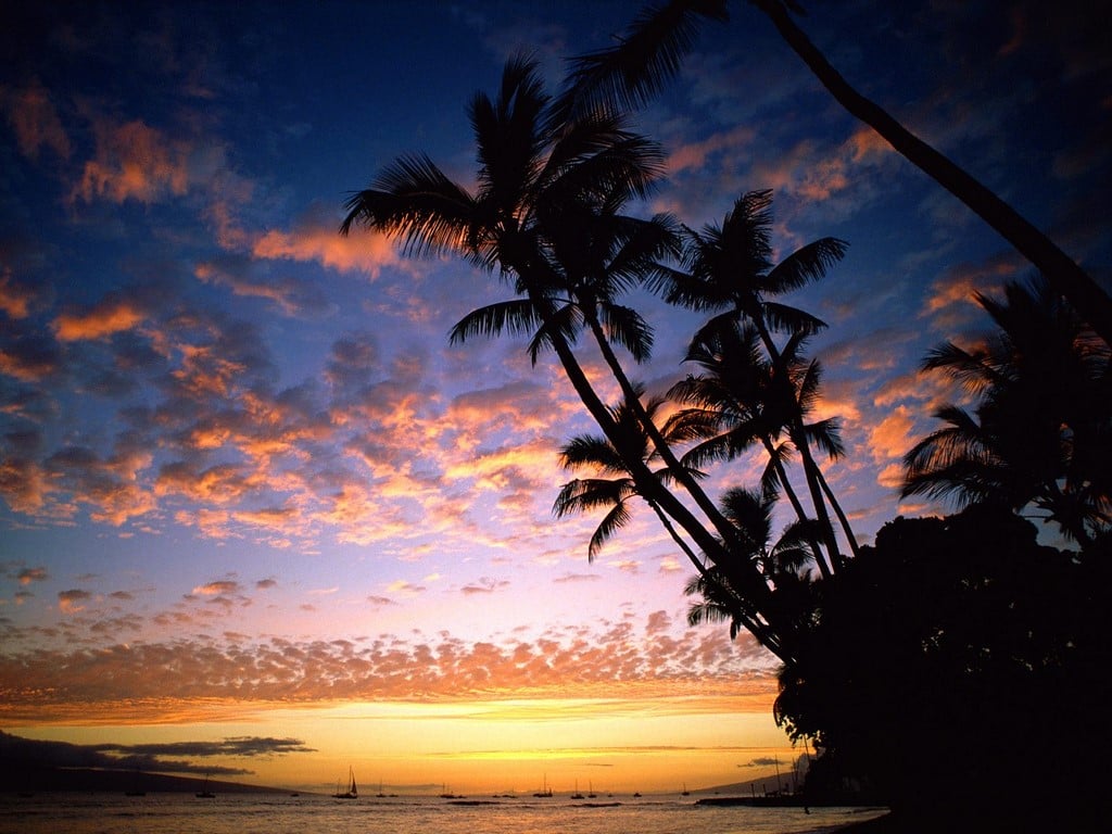 gunbatimi-manzaralari-hawaii_tropical_islands-14-1298742908