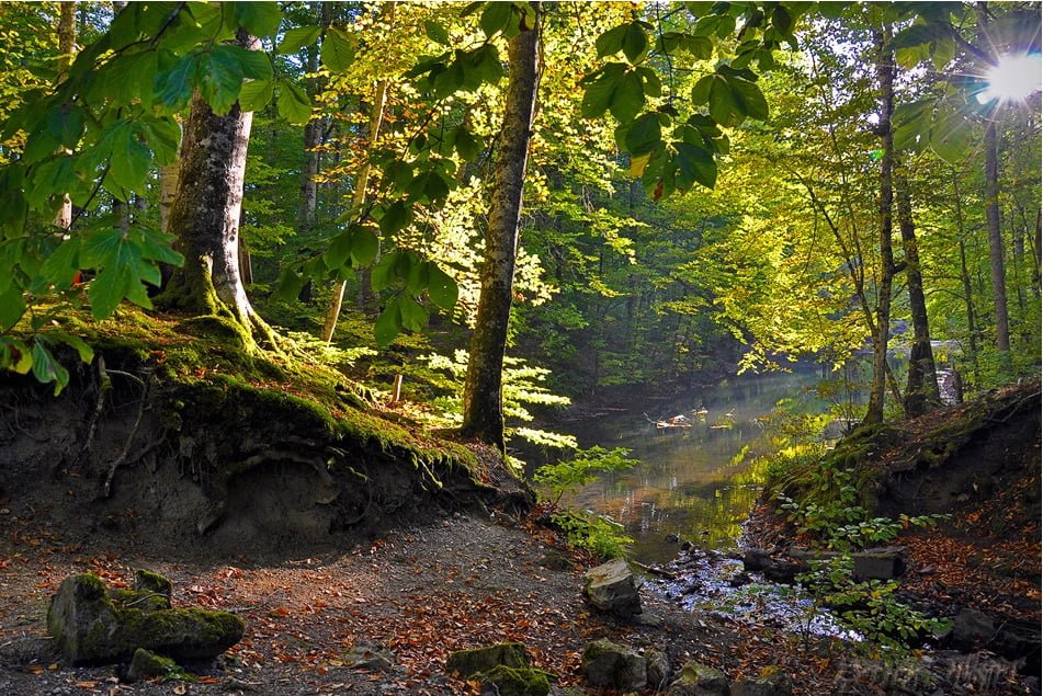 göl manzaraları - 14