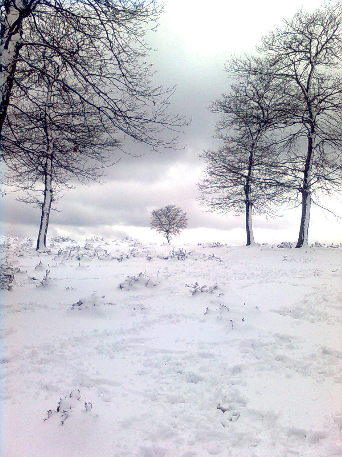 görüntü0092-1300304531